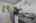 Blurred preview of media: 12