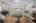 Blurred preview of media: 11