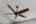 Blurred preview of media: 96 Jardin De Mer Pl-23