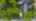 Blurred preview of media: DJI_0197