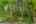 Blurred preview of media: 11-0_SW_Upper_Dr_vacantlot