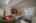 Blurred preview of media: 4376 (27 - 83)