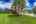 Blurred preview of media: iPixx_00_1