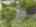 Blurred preview of media: DJI_0744