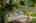 Blurred preview of media: DSC_3647