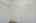 Blurred preview of media: 12430 Gentle Ben-39