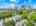 Blurred preview of media: 2-826-0160