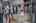 Blurred preview of media: 1801 Broadoak -32