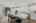 Blurred preview of media: 1472 Dunns Lake Dr-25
