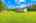 Blurred preview of media: 1-726-0495