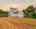 Blurred preview of media: 850_0844-enhanced-1783176675028
