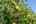 Blurred preview of media: 321 Princeton Road Sterling MA 0026