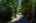 Blurred preview of media: Driveway