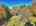 Blurred preview of media: DJI_20251021122240_0863_D_4_D_5_D_easyHDR