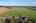 Blurred preview of media: DJI_0221
