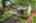 Blurred preview of media: 260105-41a