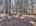 Blurred preview of media: DJI_20260408120708_0391_D_2_D_3_D_easyHDR