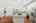 Blurred preview of media: Nerine_061