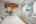 Blurred preview of media: PAX_1896