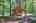 Blurred preview of media: 9y