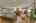 Blurred preview of media: 260105-11a