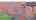 Blurred preview of media: Unknown media