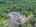 Blurred preview of media: DJI_20260616121420_0946_D_7_D_8_D_easyHDR