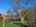 Blurred preview of media: cc2c5463-efde-42d3-a1c3-633eaa6f767e