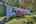 Blurred preview of media: IMG_1842_3_4_easyHDR