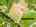 Blurred preview of media: fix-626-