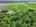Blurred preview of media: 76-shades-of-death-road-great-meadows-n-j-drone-007