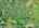 Blurred preview of media: DJI_20260527104157_0083_D_4_D_5_D_easyHDR