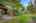 Blurred preview of media: 37