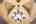 Blurred preview of media: 2025_01_January_47_Major_Ridge_Rd_0106