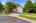 Blurred preview of media: Nerine_001