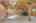 Blurred preview of media: 66 Woobly Road Bolton Massachusetts Job 39072 0021