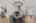 Blurred preview of media: 1309 Hideaway Drive S-36