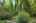 Blurred preview of media: 260141-28