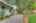 Blurred preview of media: 260204-20