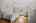 Blurred preview of media: 1 Bryant Avenue Shrewsbury Massachusetts Job 39631 0067