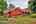 Blurred preview of media: Unknown media