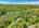 Blurred preview of media: DJI_20260516141356_0965_D_6_D_7_D_easyHDR