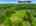 Blurred preview of media: 1-726--4