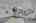 Blurred preview of media: DSC02057