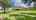 Blurred preview of media: Unknown media