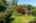 Blurred preview of media: Externals-10