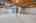 Blurred preview of media: 14314 Wright Way RS1 00024