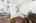 Blurred preview of media: Interior Pro Images 3098 Espana Ln FULL SHOOT-19