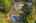 Blurred preview of media: Aerial 07