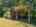 Blurred preview of media: 2025_08_August_103_Arrow_Dr_0007